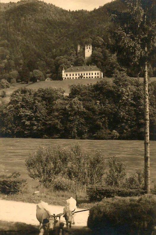 Pozabljeni baroni z desnega brega Drave
