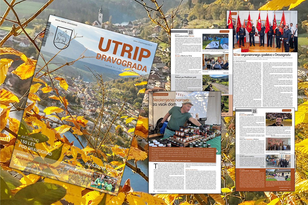 Številka 011 - november 2025