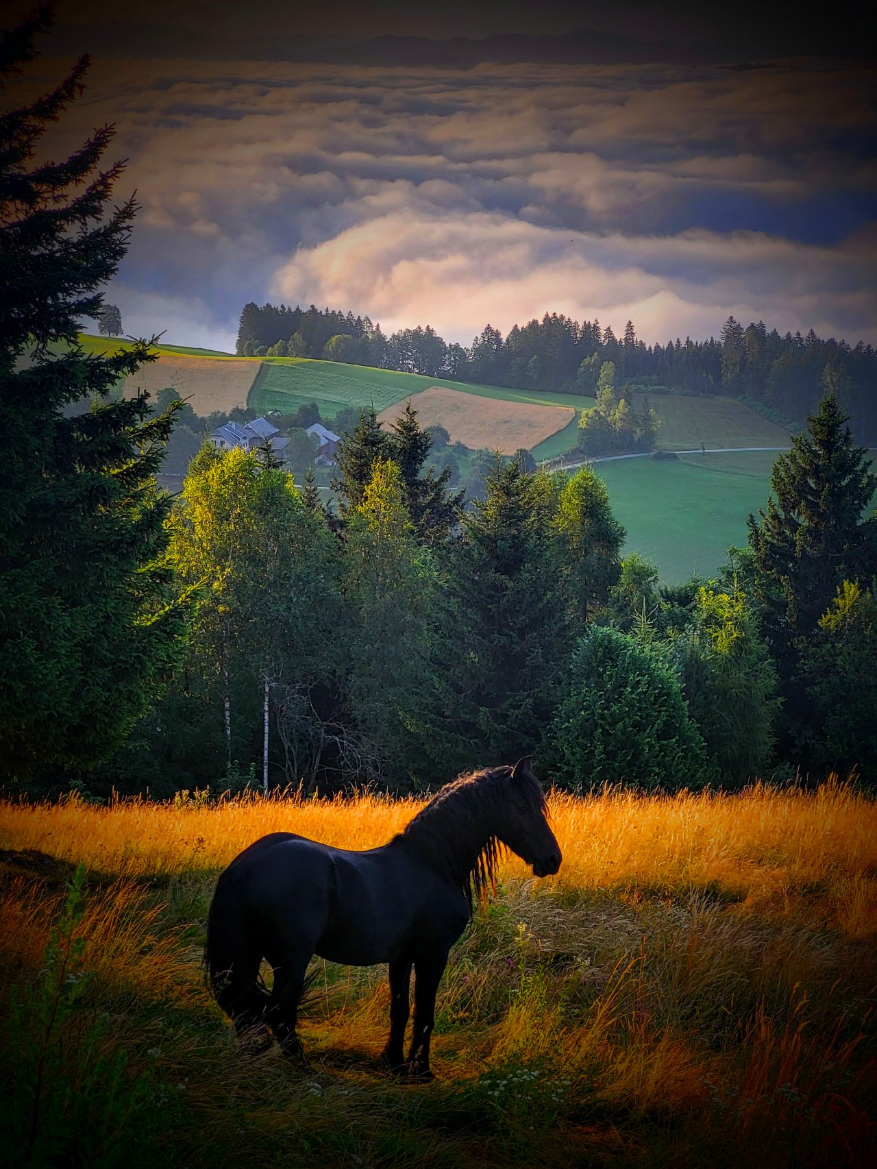 Najlepše fotografije nastanejo, ko svet utihne in spregovori duša