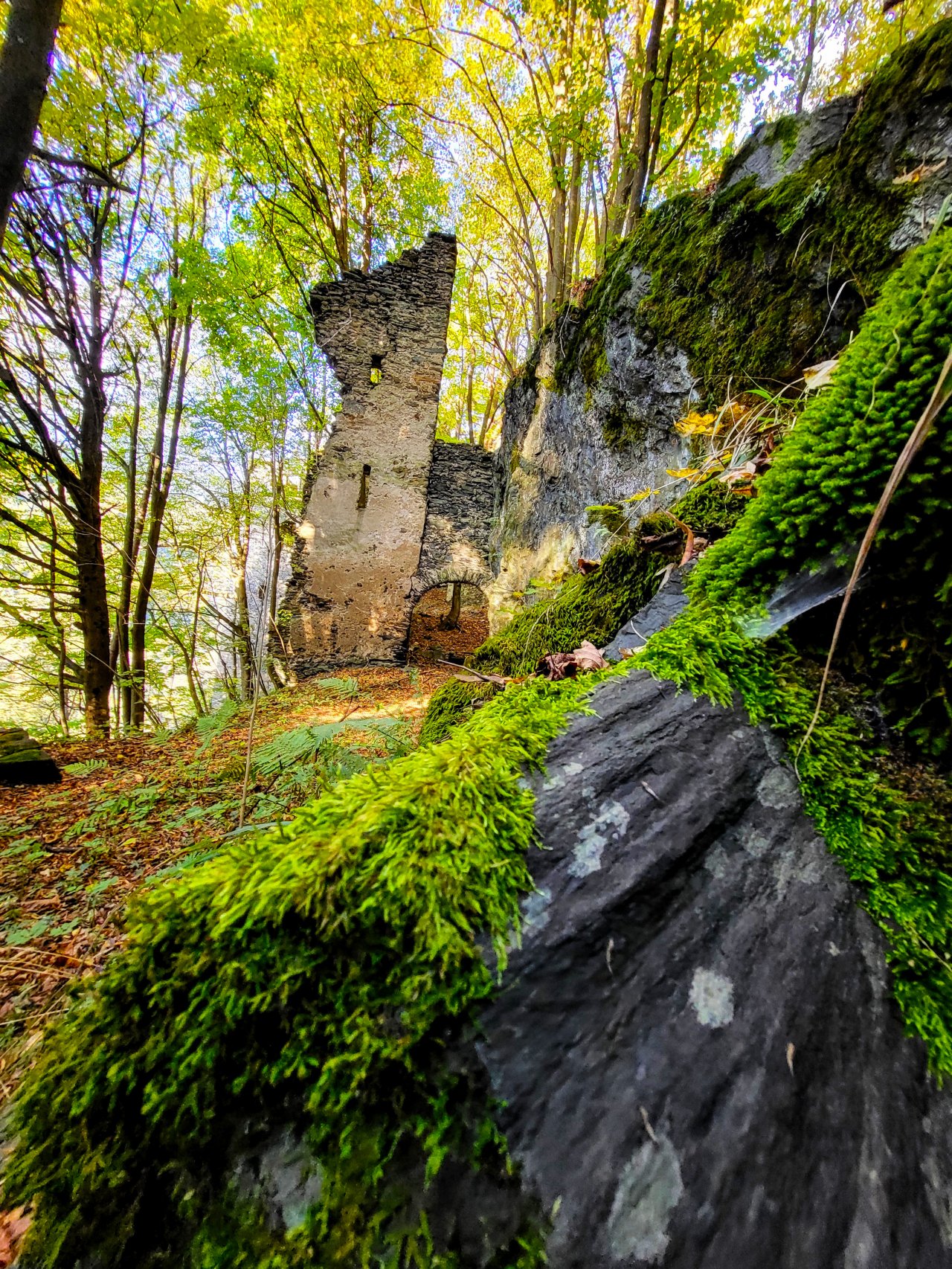 Najlepše fotografije nastanejo, ko svet utihne in spregovori duša